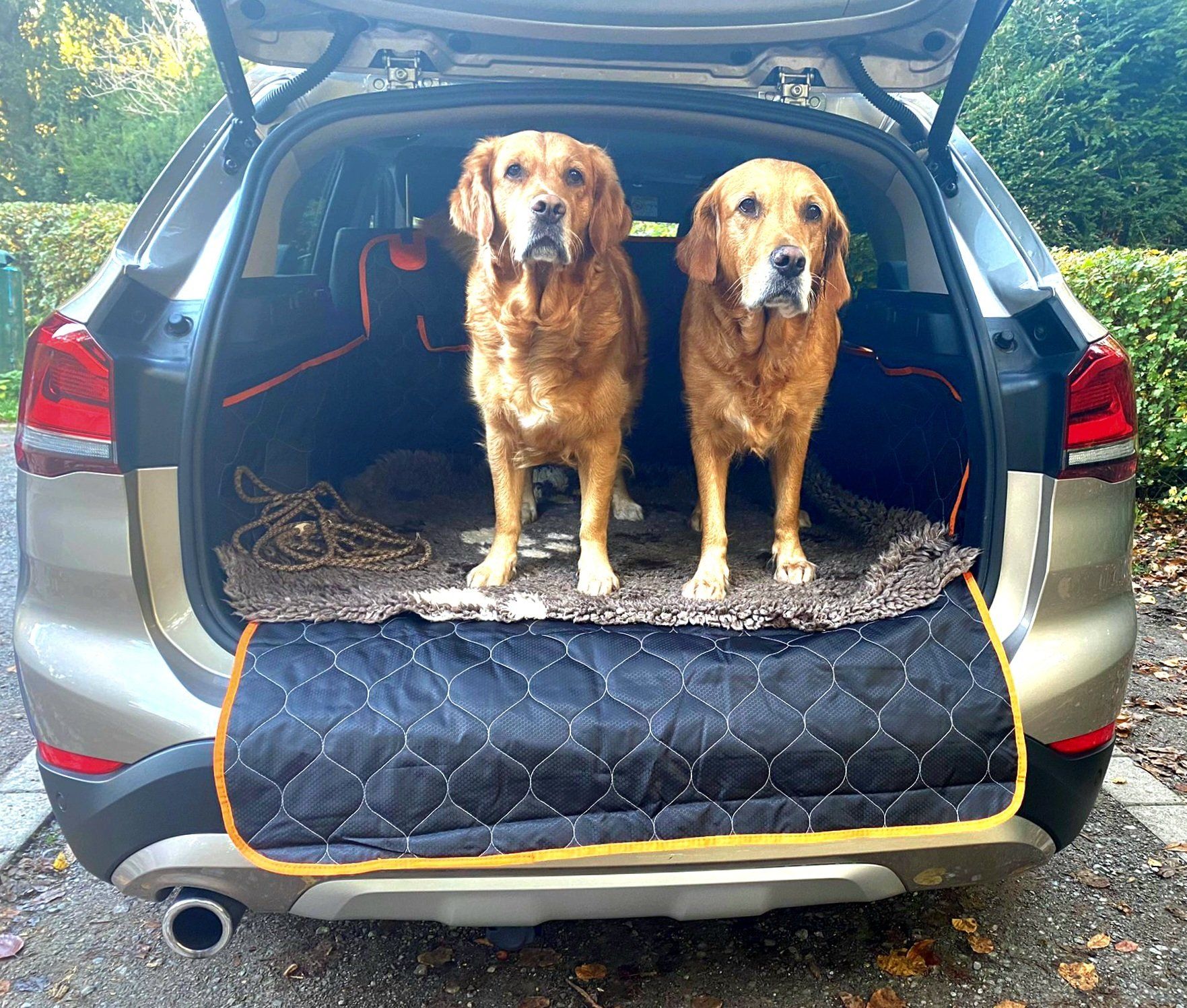 Kofferraumschutz Hunde Hundedecke Kofferraum