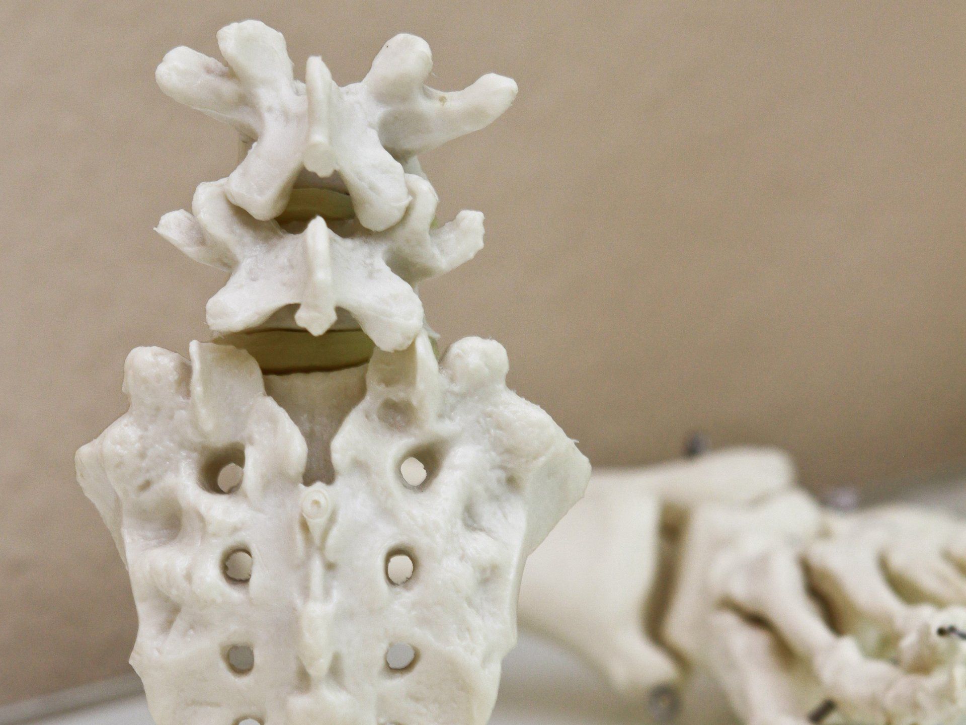 Osteoporose und Osteologie in München Orthopäde Orthopädie