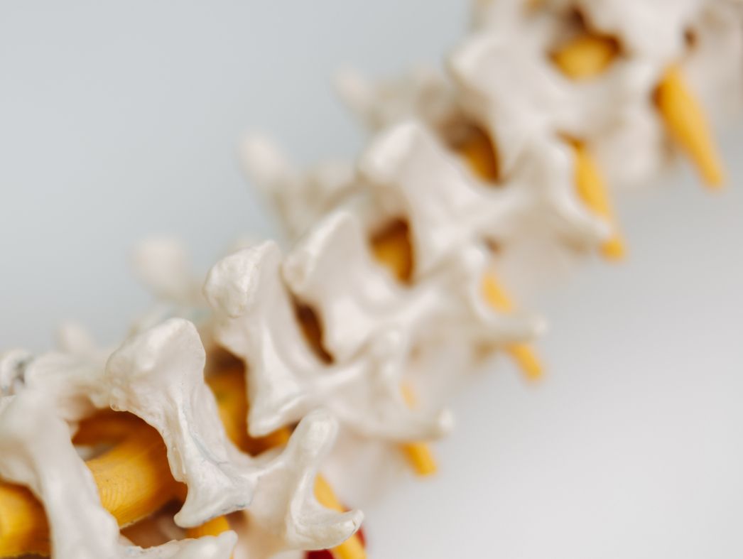 Osteoporose und Osteologie beim Orthopäden in München Privatpraxis für Orthopädie