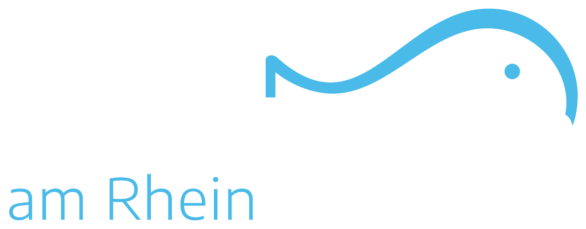 Physiotherapie am Rhein