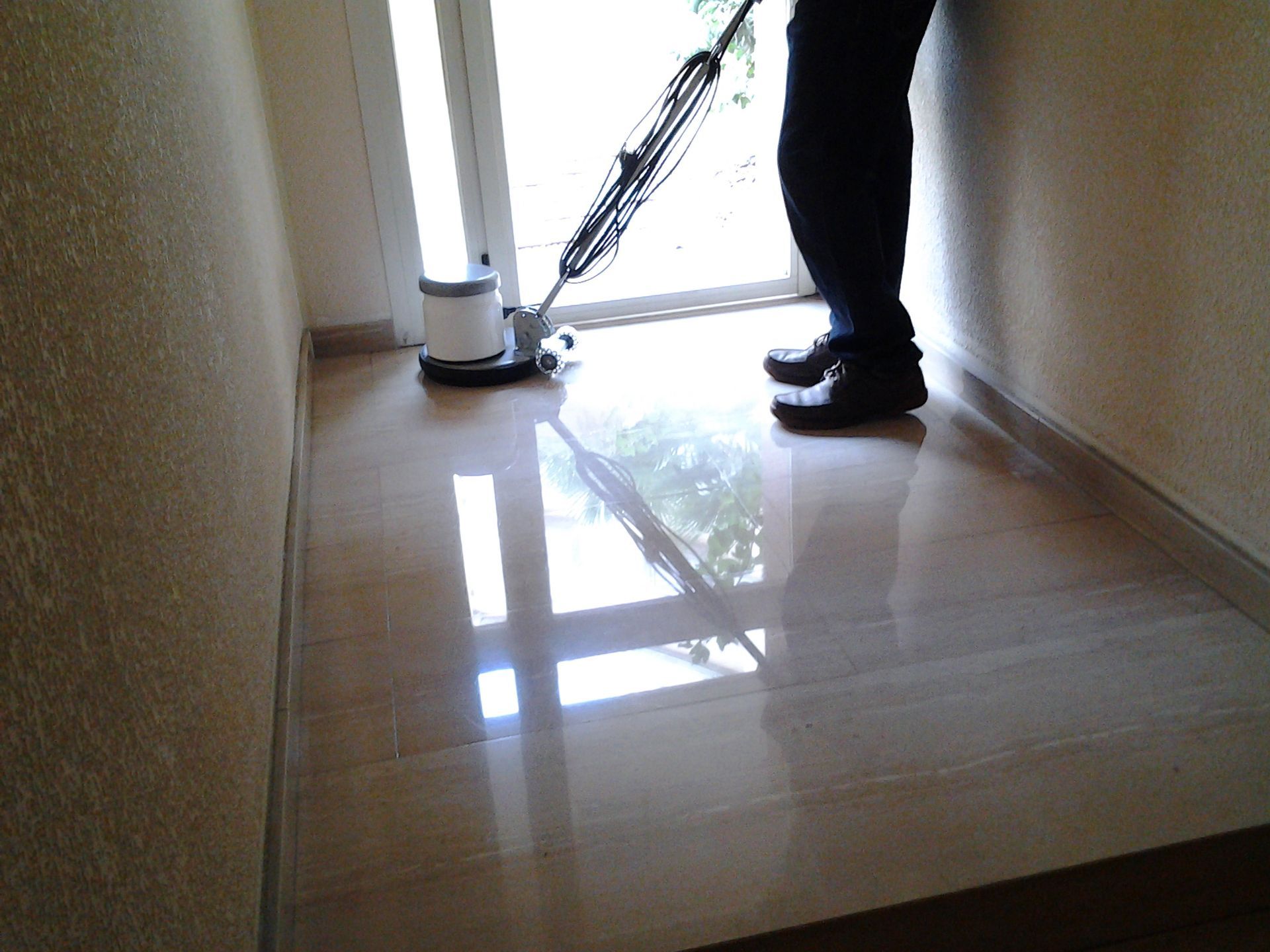 Pulidoras abrillantadoras March