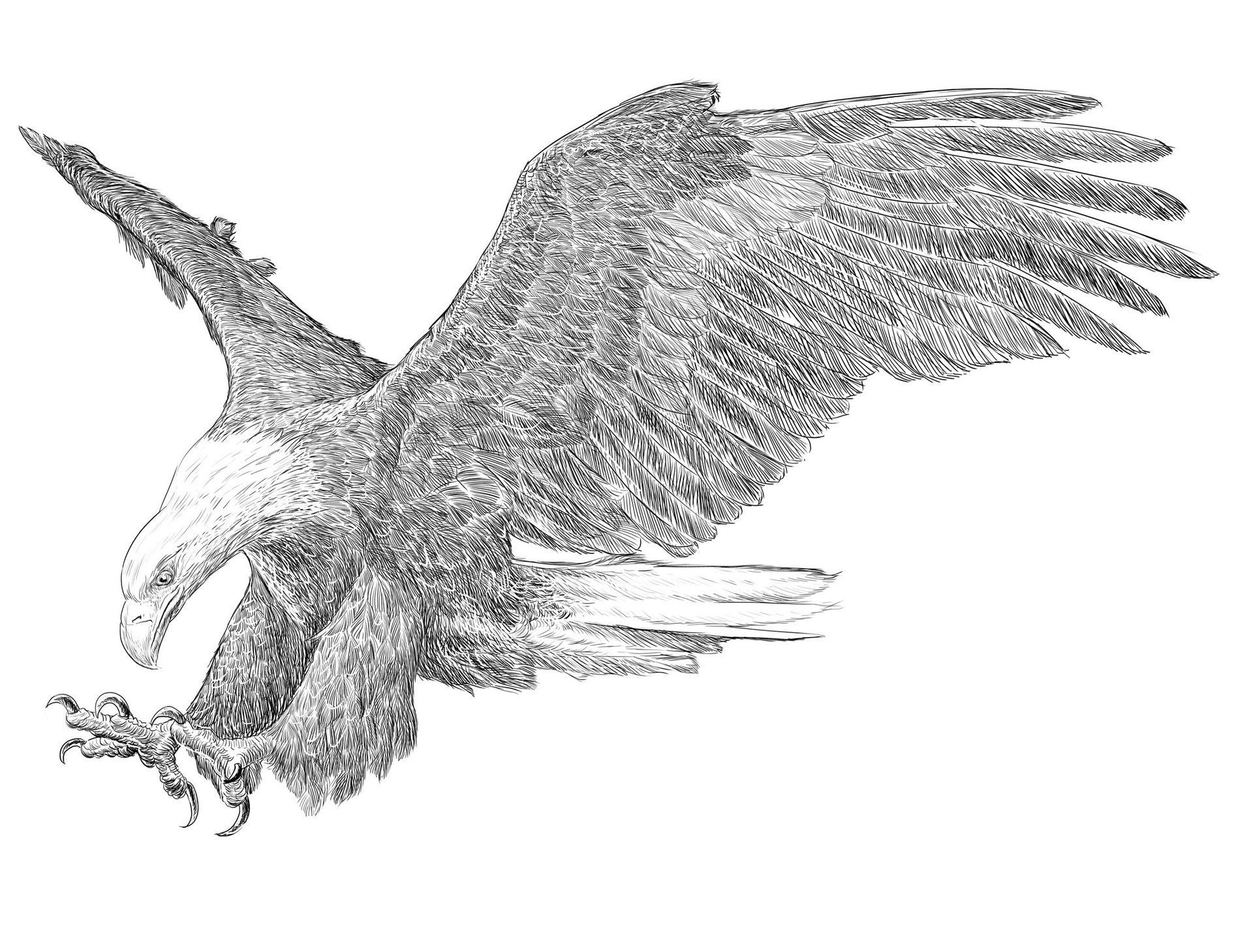 Waldgststätte-Jägerhaus-logo