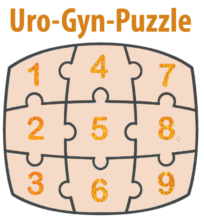 Sabine Irmer, Uro-Gyn-Puzzle