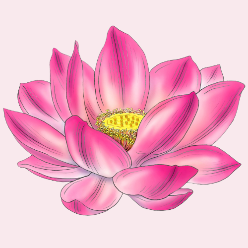 Sabine Irmer, Praxis für Urotherapie, Expertin bei Blasenstörung, Reizblase, Inkontinenz, Rücken- und Beckenbodentraining