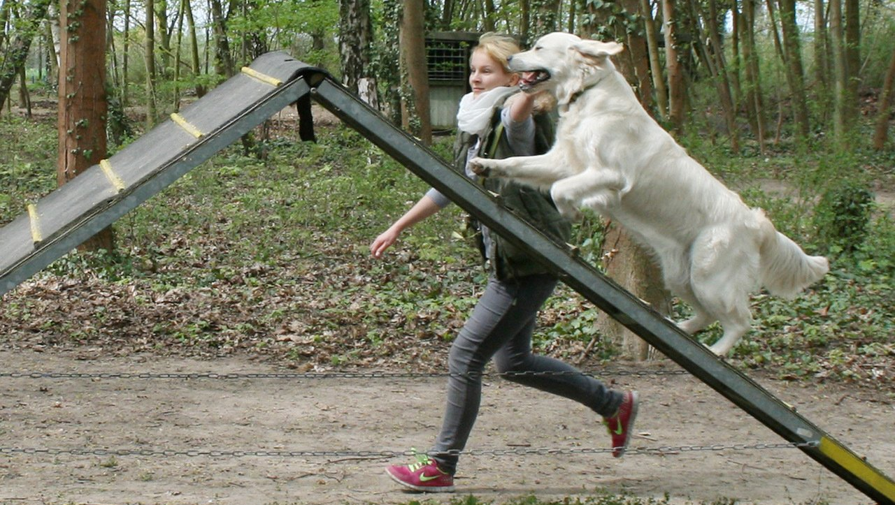 Luna mit Frau Schmidt beim Training