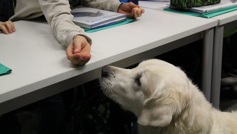Luna erhält von einem Schüler Futter
