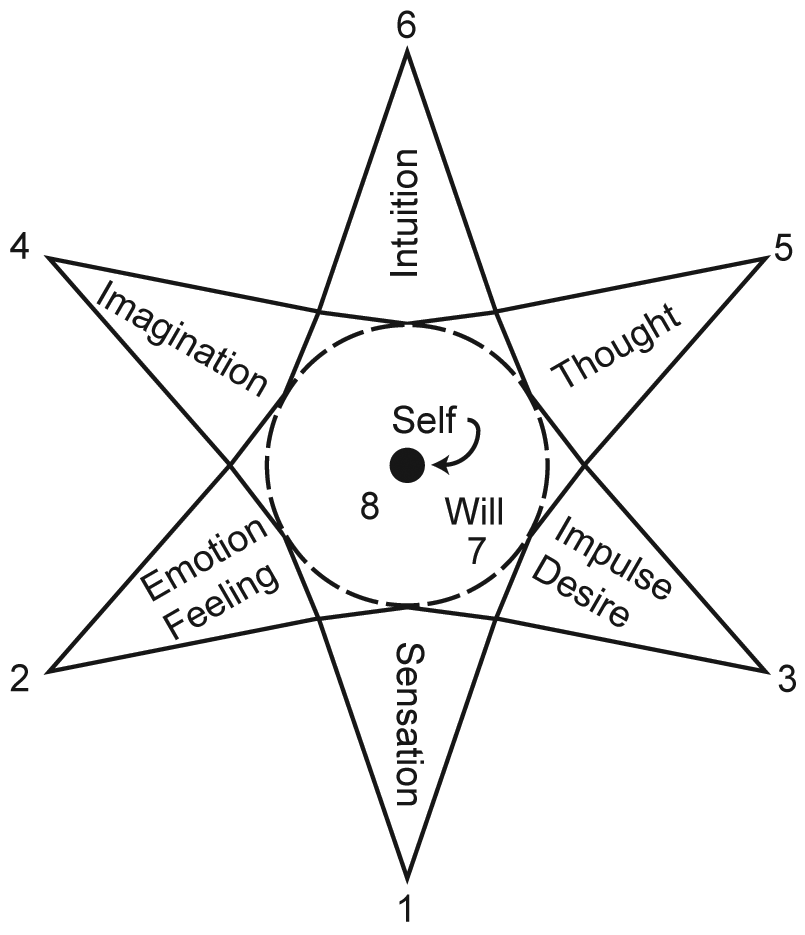 Sterndiagramm Psychosynthese