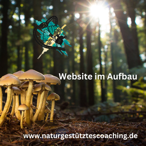 Deine Flucht in die Natur Nature-Escape-Game