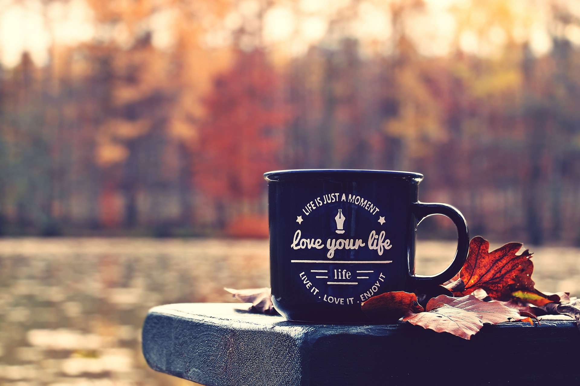 Auf einer Parkbank steht eine dunkle Tasse mit weißer Aufschrift: Love your life. Life is just a moment. Live it. Love it. Enjoy it.