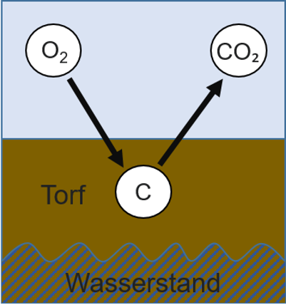 Grafik: in einem trocken gelegten Moor das O2 aus der Luft mit dem Kohlenstoff im Torf verbindet und so CO2 ausstößt