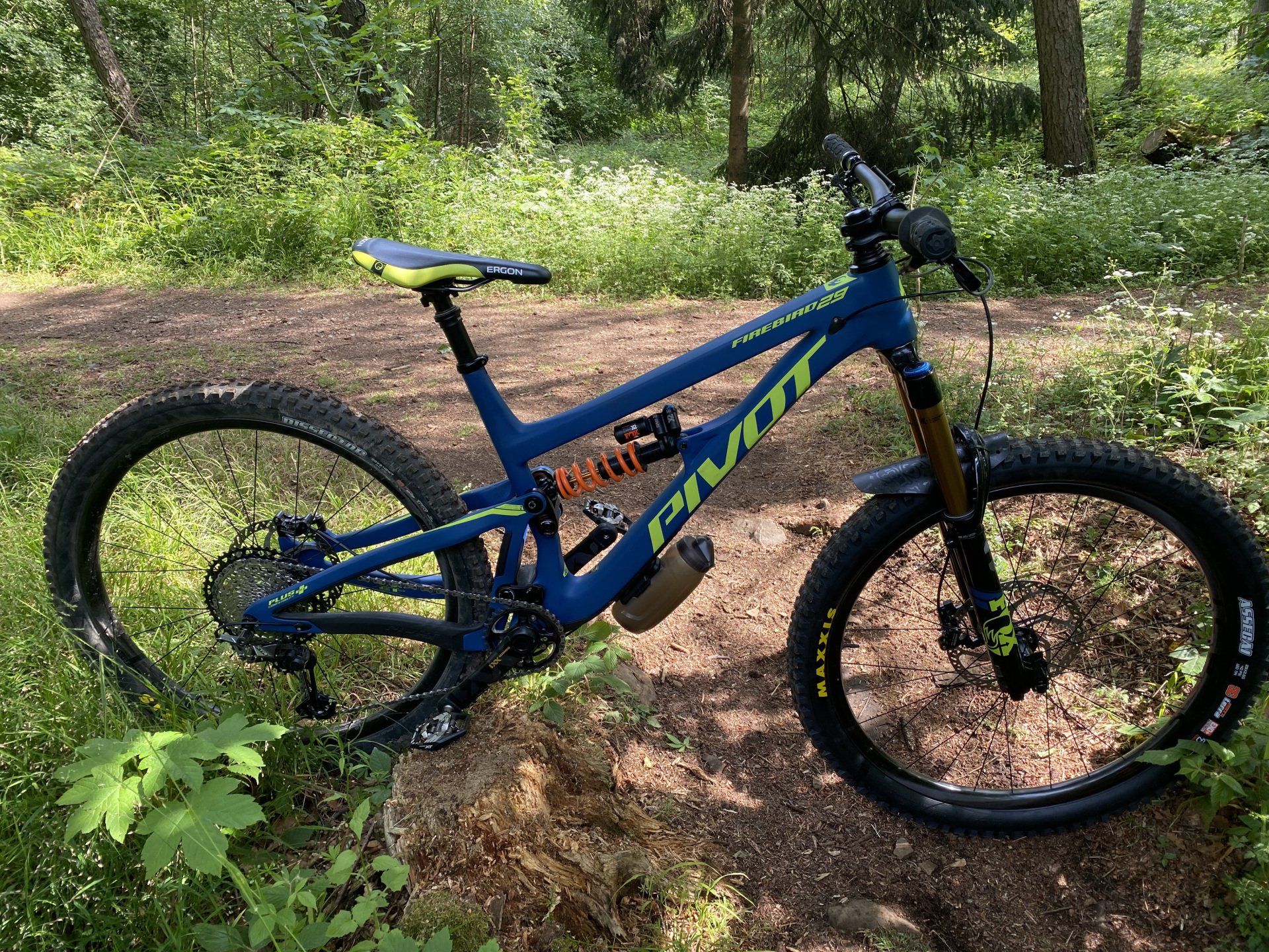 Pivot Cycles Firebird 29