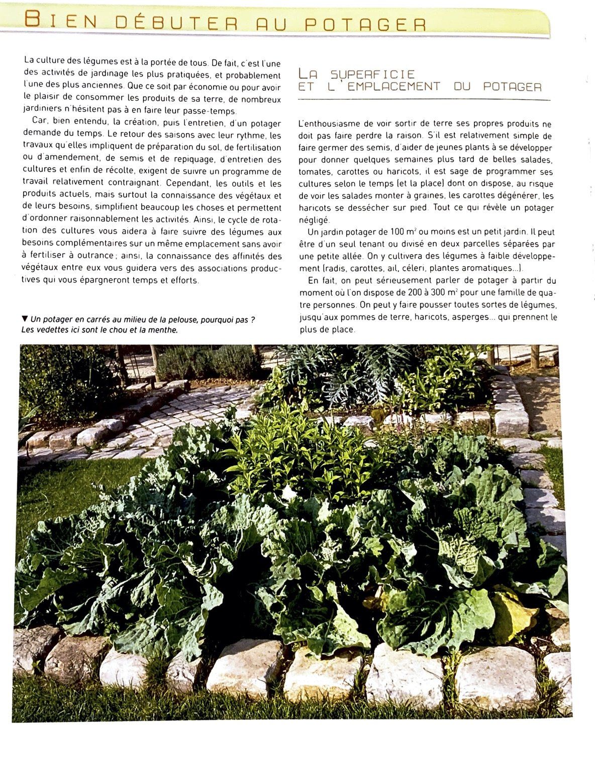 Bien débuter son potager