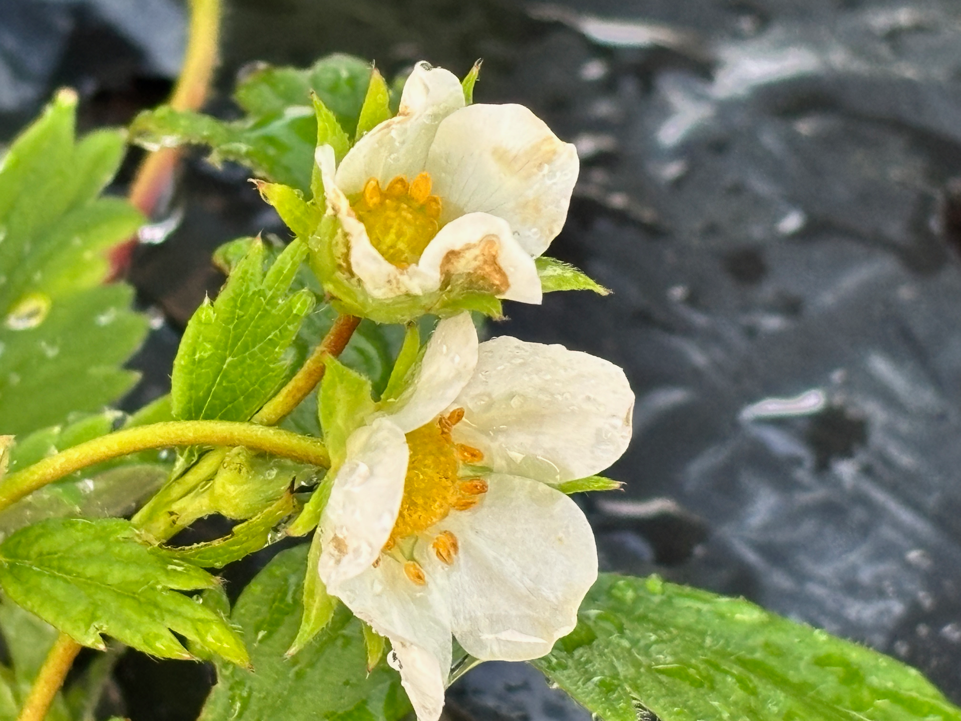 Découverte en image