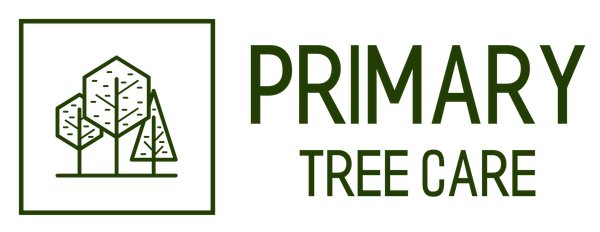 Primary Tree Care Logo, green