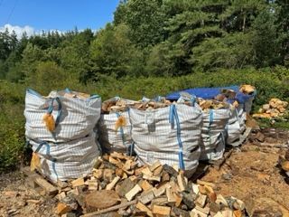 Chopped wood, firewood in Poole Dorset