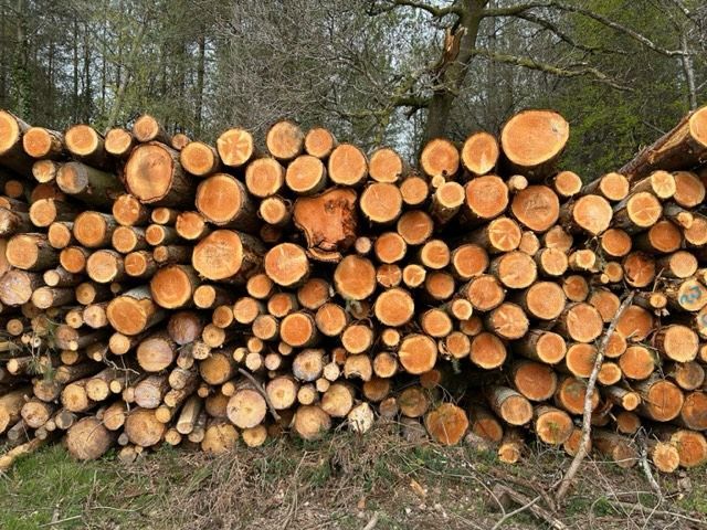 Firewood in Poole Dorset