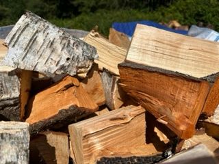 Logs for sale in Poole Dorset