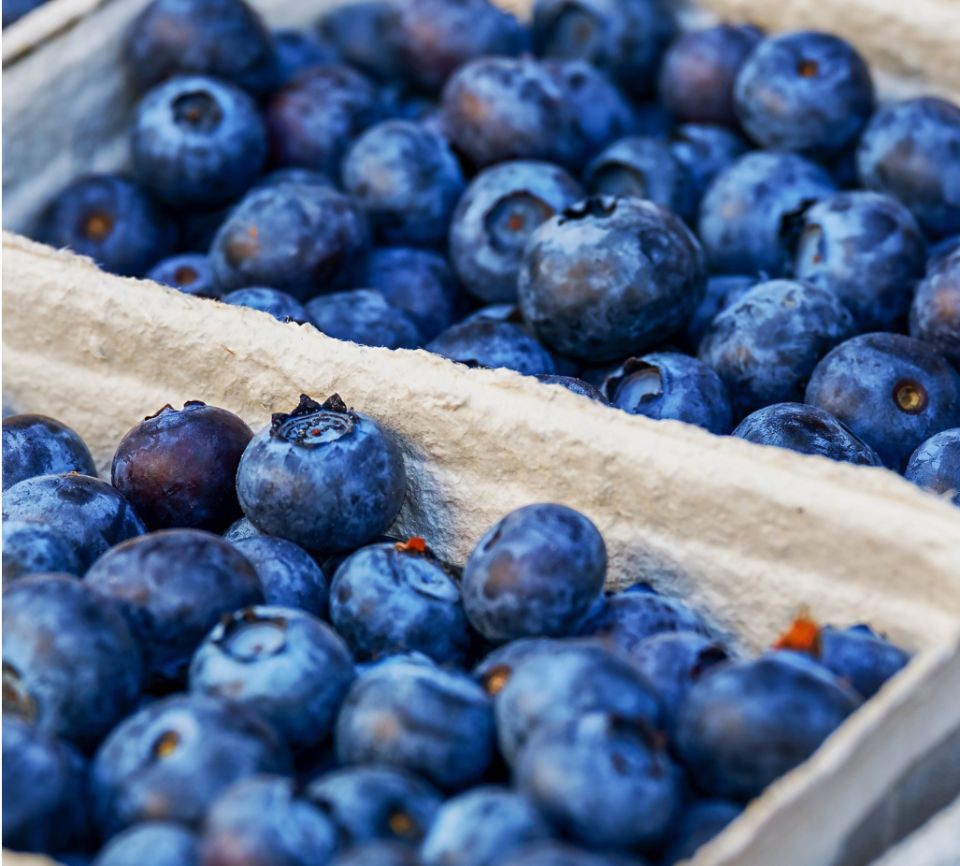 Blueberries