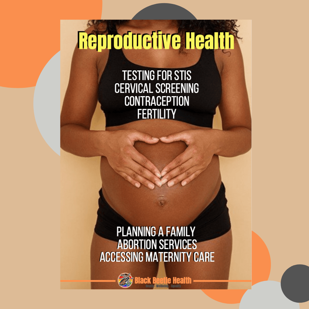 Reproductive Health Guide for LGBTQ+ Black and People of Colour