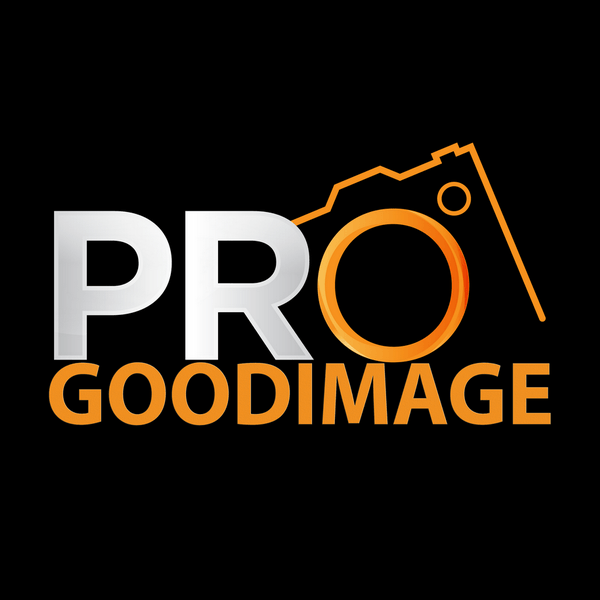 Logo Goodimage photographe le mans