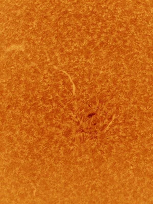 Astronomie, Gasnebel, Astrofotografie, Sterne, Sternenhimmel, Galaxien, Sternsysteme, Sonne, Mond, Planeten, plan. Nebel, Farbige Sterne, Milchstrasse, Protuberanzen, Astroreisen, Naturfotografie