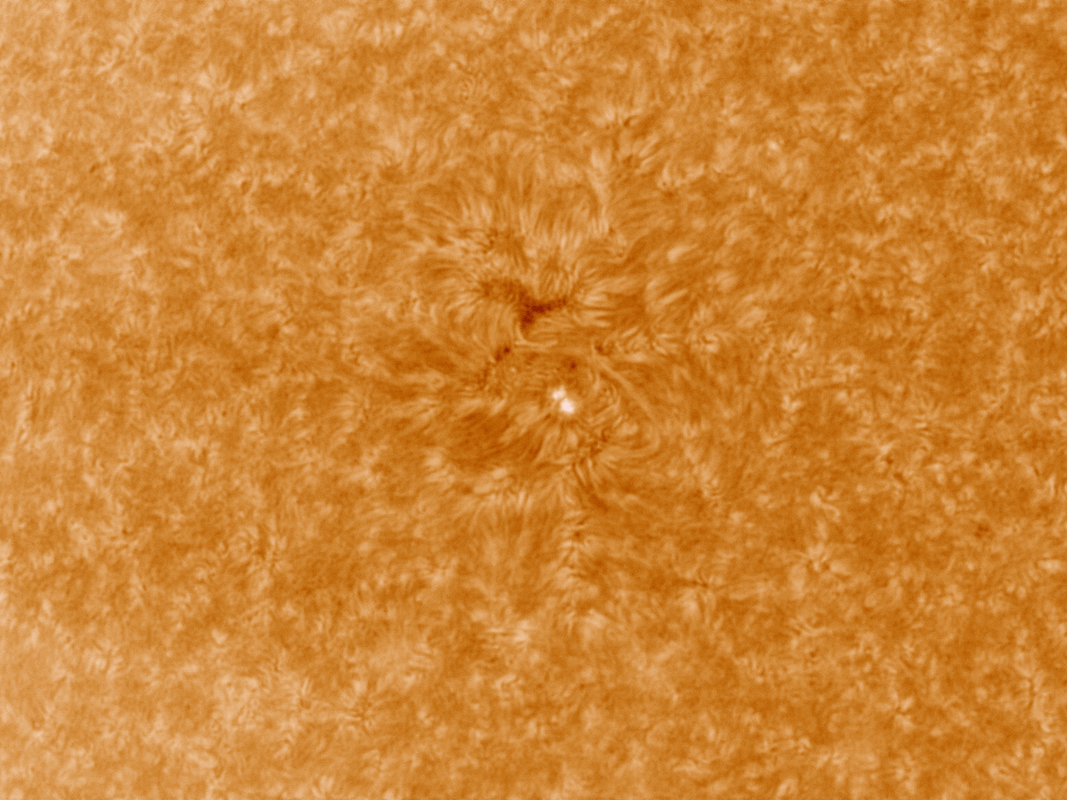 Astronomie, Gasnebel, Astrofotografie, Sterne, Sternenhimmel,  Galaxien, Sternsysteme, Sonne, Mond, Planeten, plan. Nebel, Farbige Sterne, Milchstrasse, Protuberanzen, Astroreisen,  Naturfotografie