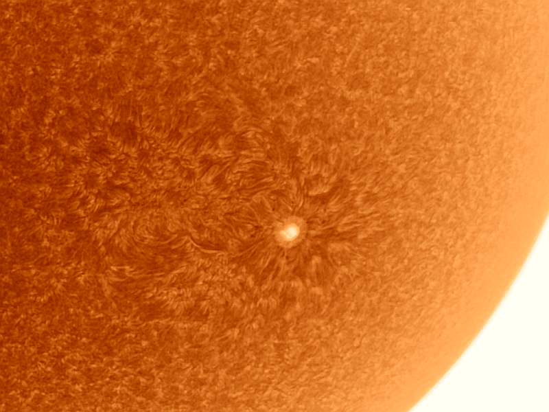 Astronomie, Gasnebel, Astrofotografie, Sterne, Sternenhimmel, Galaxien, Sternsysteme, Sonne, Mond, Planeten, plan. Nebel, Farbige Sterne, Milchstrasse, Protuberanzen, Astroreisen, Naturfotografie