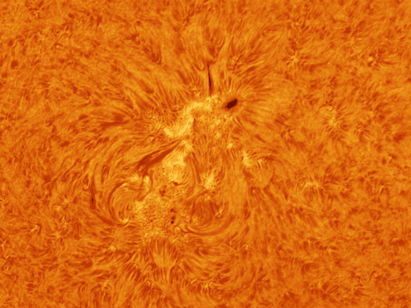 Astronomie, Gasnebel, Astrofotografie, Sterne, Sternenhimmel, Galaxien, Sternsysteme, Sonne, Mond, Planeten, plan. Nebel, Farbige Sterne, Milchstrasse, Protuberanzen, Astroreisen, Naturfotografie