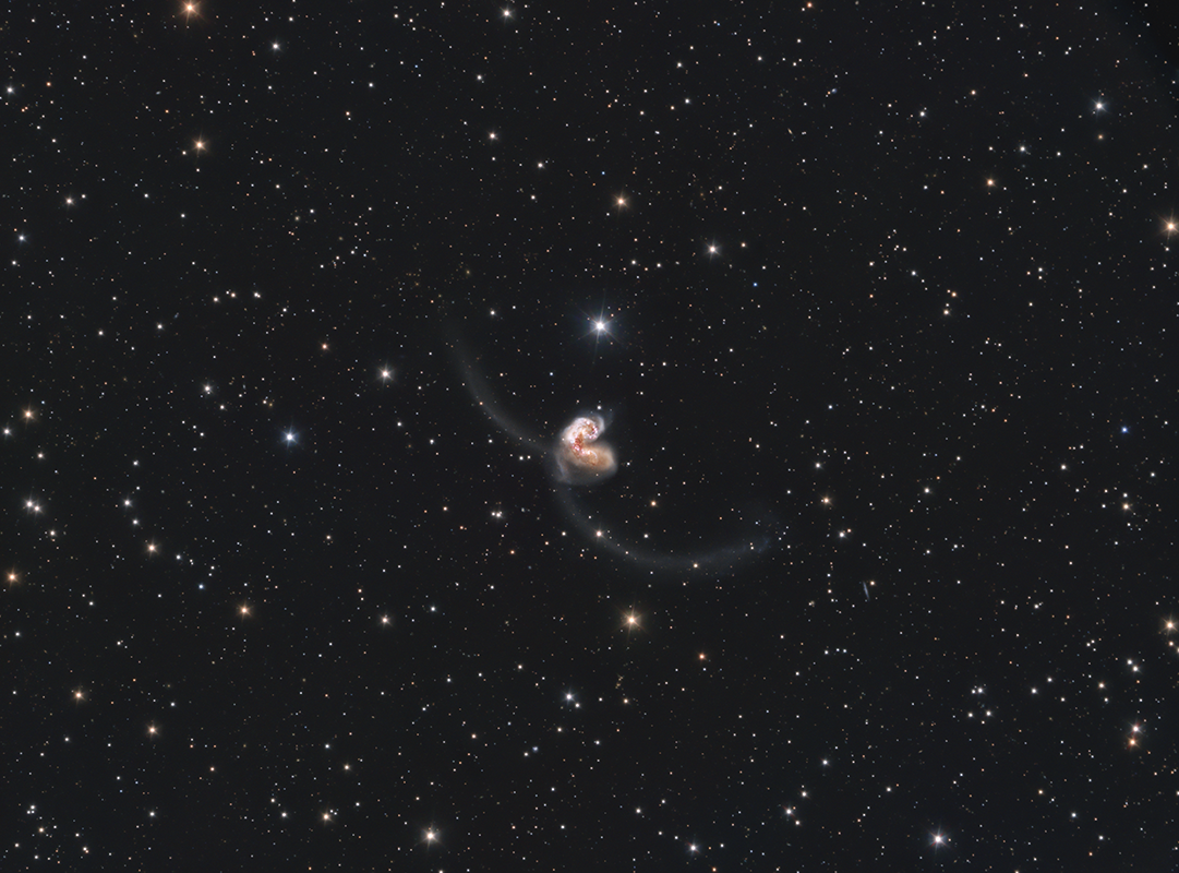 Astronomie, Gasnebel, Astrofotografie, Sterne, Sternenhimmel,  Galaxien, Sternsysteme, Sonne, Mond, Planeten, plan. Nebel, Farbige Sterne, Milchstrasse, Protuberanzen, Astroreisen,  Naturfotografie