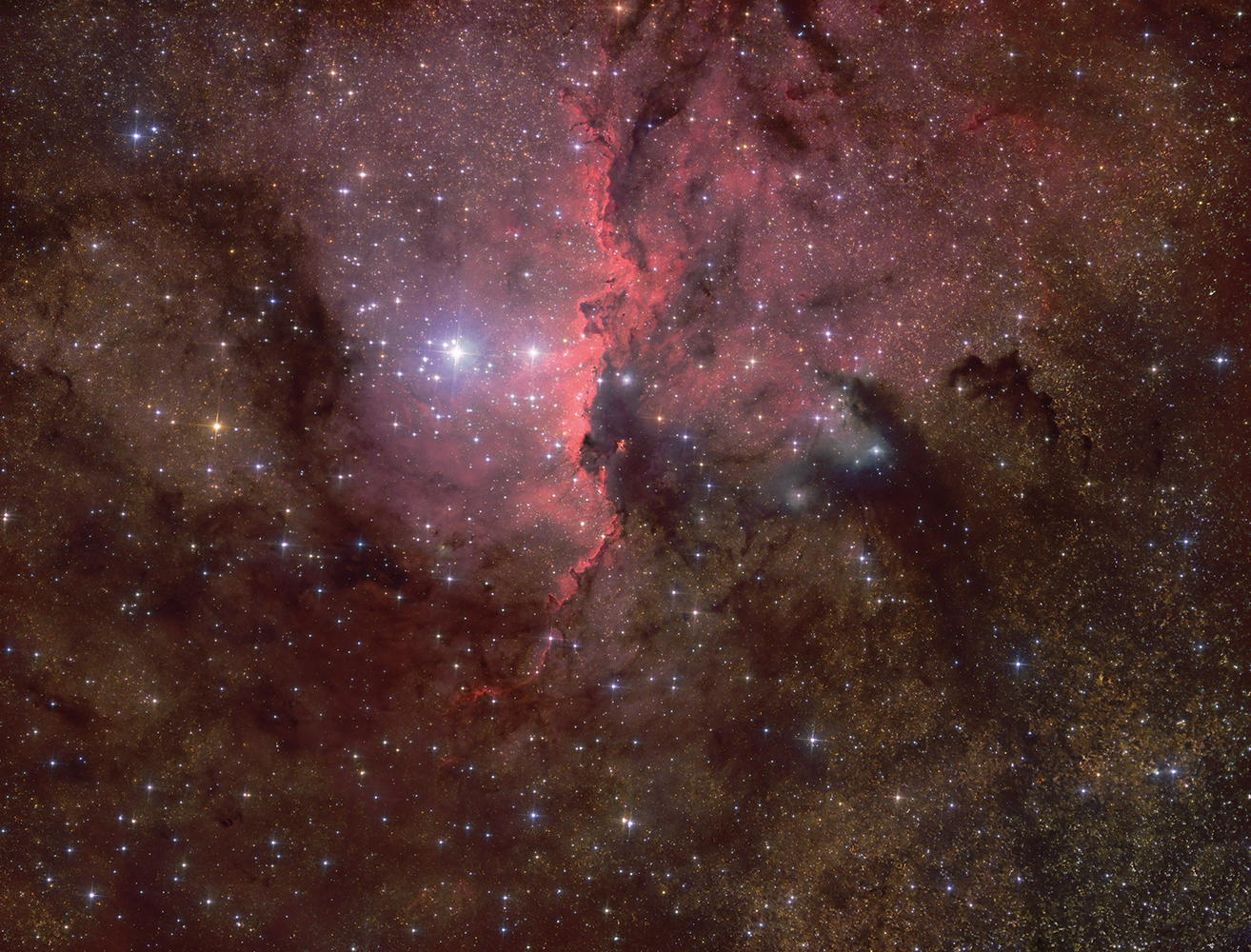 Astronomie, Gasnebel, Astrofotografie, Sterne, Sternenhimmel, Galaxien, Sternsysteme, Sonne, Mond, Planeten, plan. Nebel, Farbige Sterne, Milchstrasse, Protuberanzen, Astroreisen,