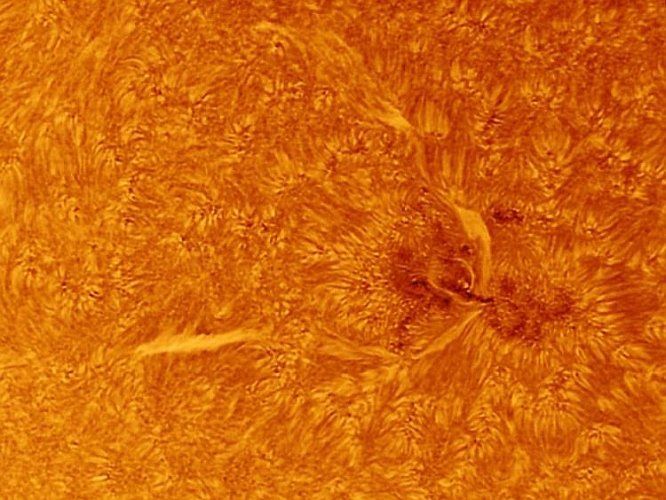 Astronomie, Gasnebel, Astrofotografie, Sterne, Sternenhimmel,  Galaxien, Sternsysteme, Sonne, Mond, Planeten, plan. Nebel, Farbige Sterne, Milchstrasse, Protuberanzen, Astroreisen,  Naturfotografie