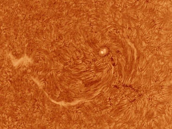 Astronomie, Gasnebel, Astrofotografie, Sterne, Sternenhimmel, Galaxien, Sternsysteme, Sonne, Mond, Planeten, plan. Nebel, Farbige Sterne, Milchstrasse, Protuberanzen, Astroreisen, Naturfotografie