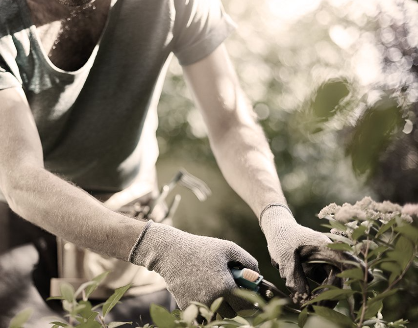 Hilfe bei der Gartenarbeit und Einkaufsservice