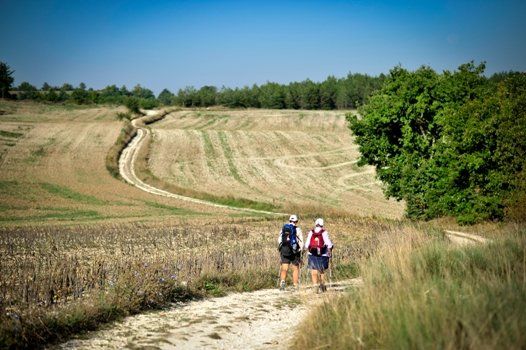 Chemin de randonnée en Quercy