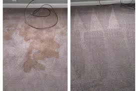 Vorher-Nachher gereinigter Teppich