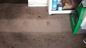 Teppich wie neu nach Reinigung