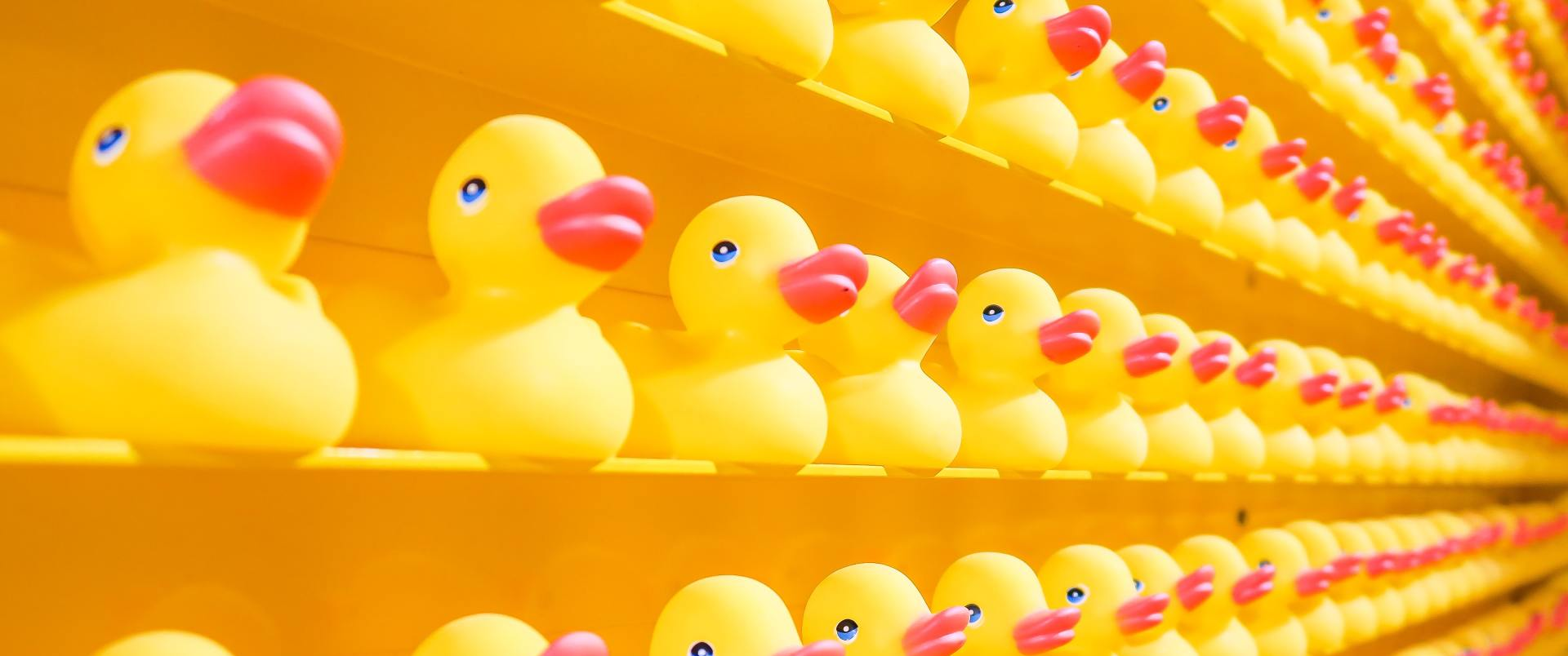 Customer data delivers insights that change business outcomes