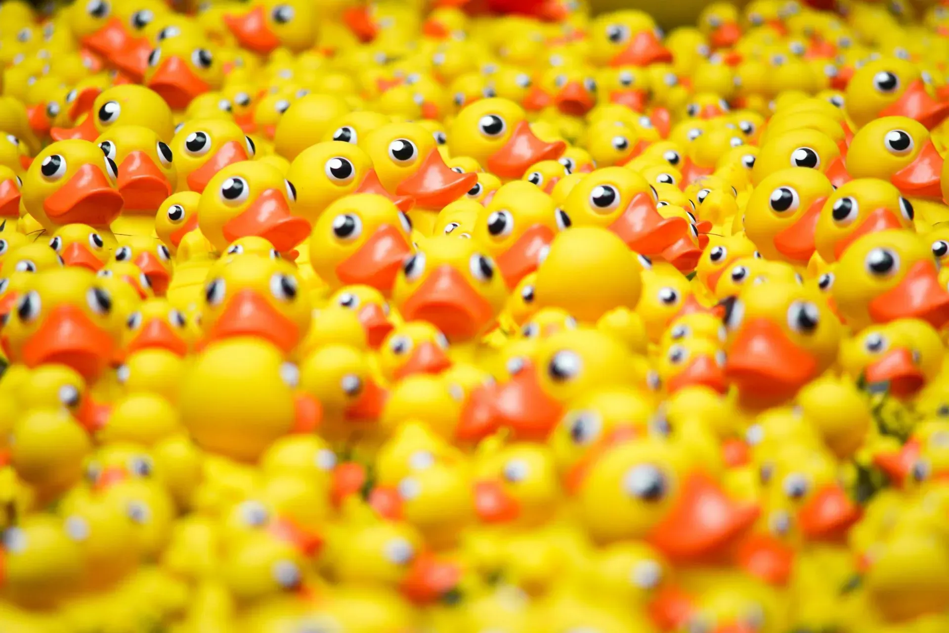 Getting the right cadence of communications is important for ensuring optimum campaign performance