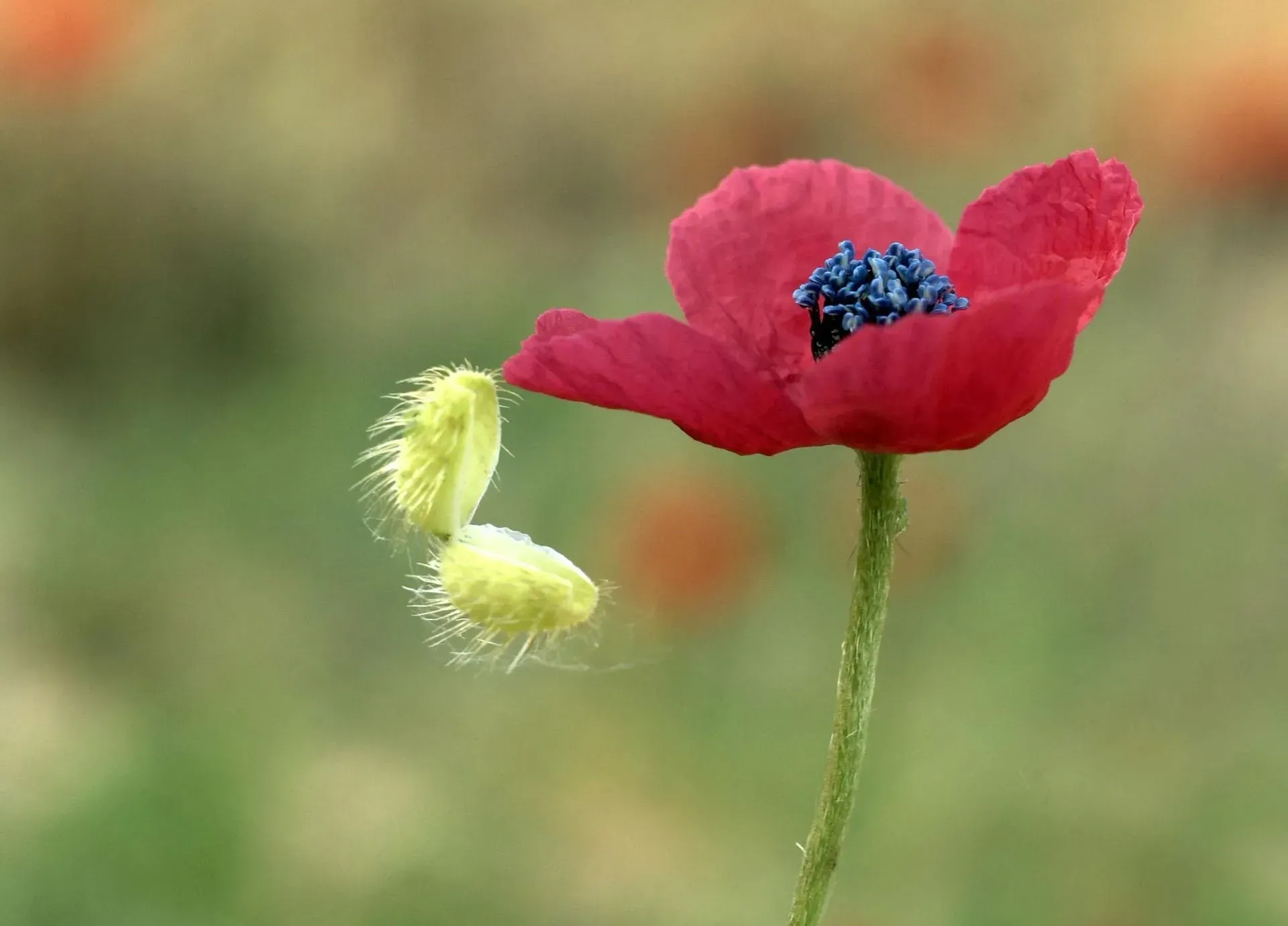 The Single Customer View: The Holy Grail of CRM Marketing That Few Companies Achieve