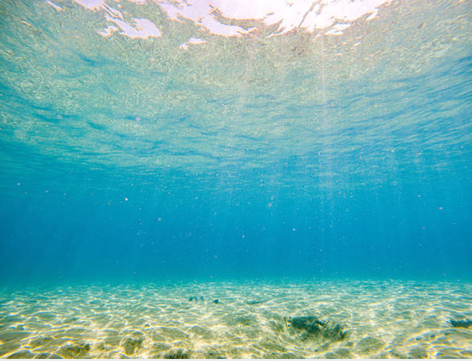 Abstraktes Bild, dass das innere Team veranschaulicht in form eines Fischschwarms im Meer.