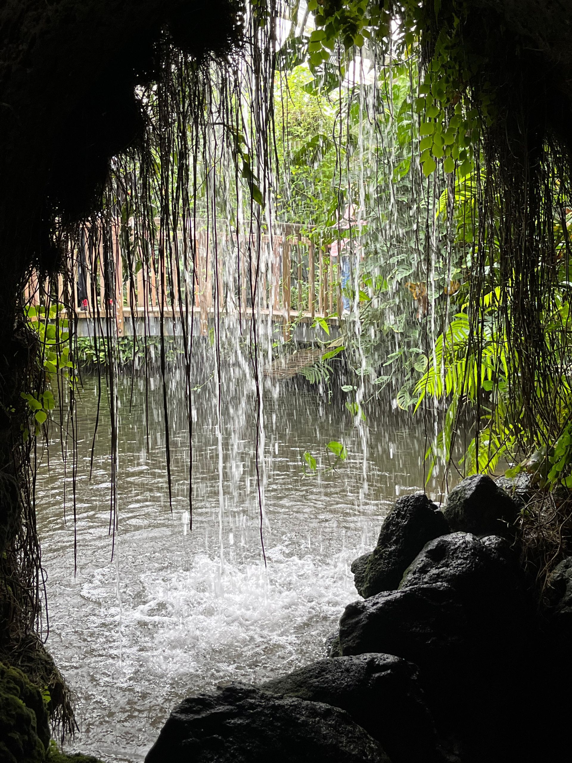 Ein Blick durch Wasser – bewegt und offen.
Krisen trennen nicht immer. Manchmal klären sie.