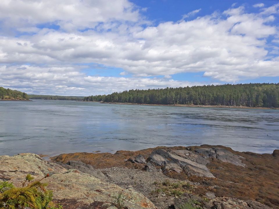 View of the water at Lampson Preserve