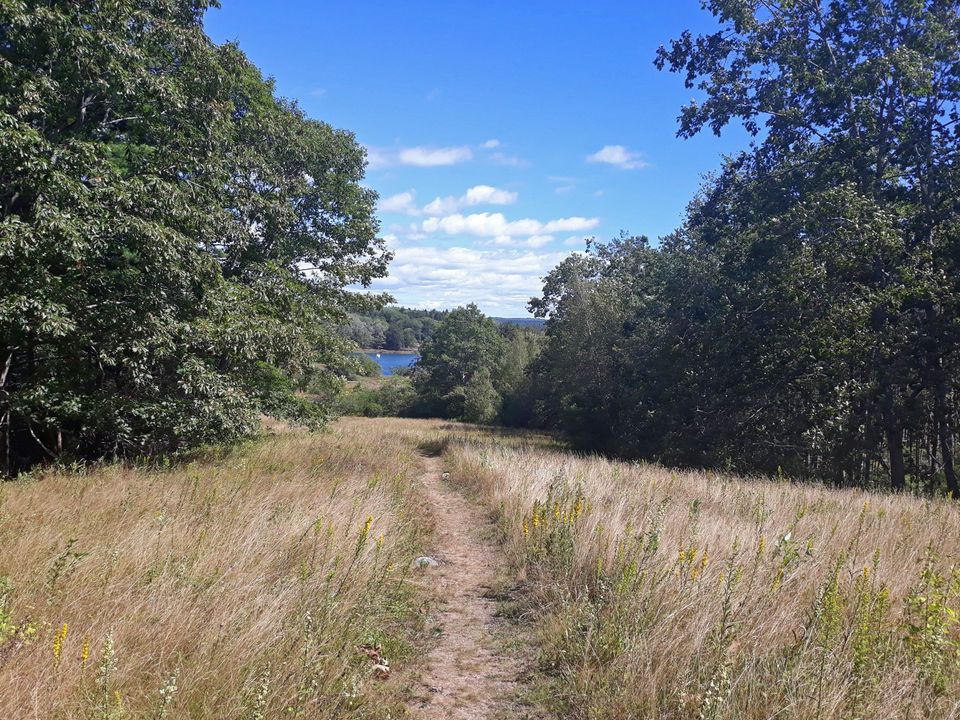 Path at Lampson Preserve