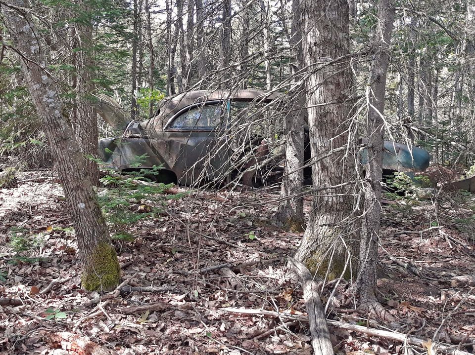 Old car at Snow Natural Area