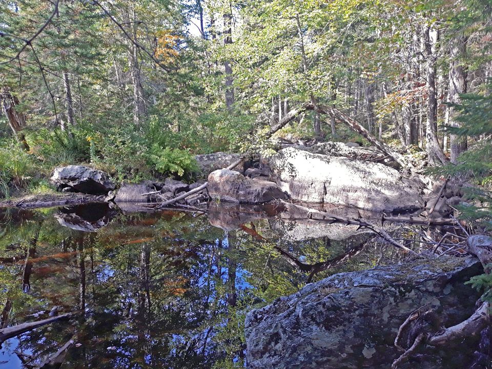Scenic view at Patten Stream Preserve