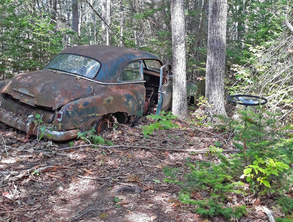 Old rusty car at Snow Natural Area