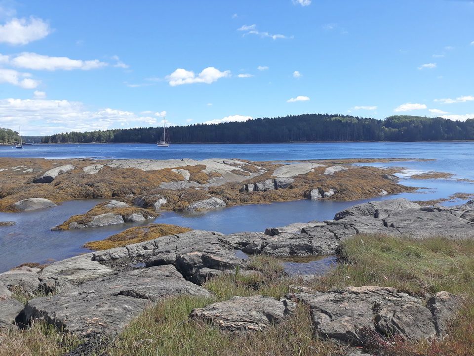View of water at Lampson Preserve