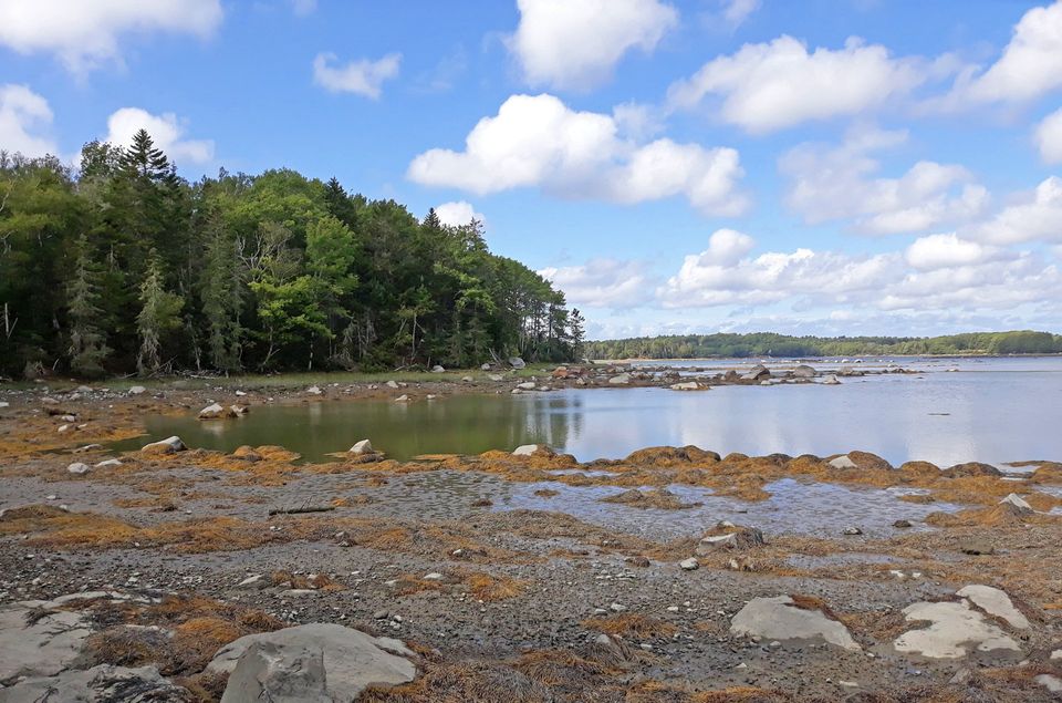 Scenic view at Snow Natural Area
