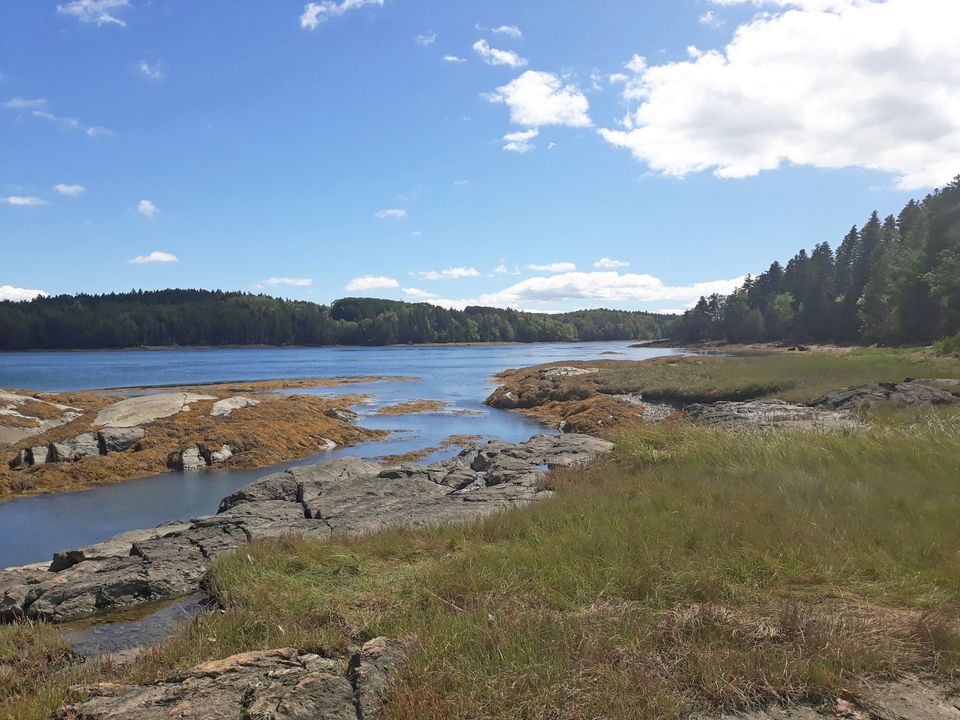 Water view at the Lampson Preserve