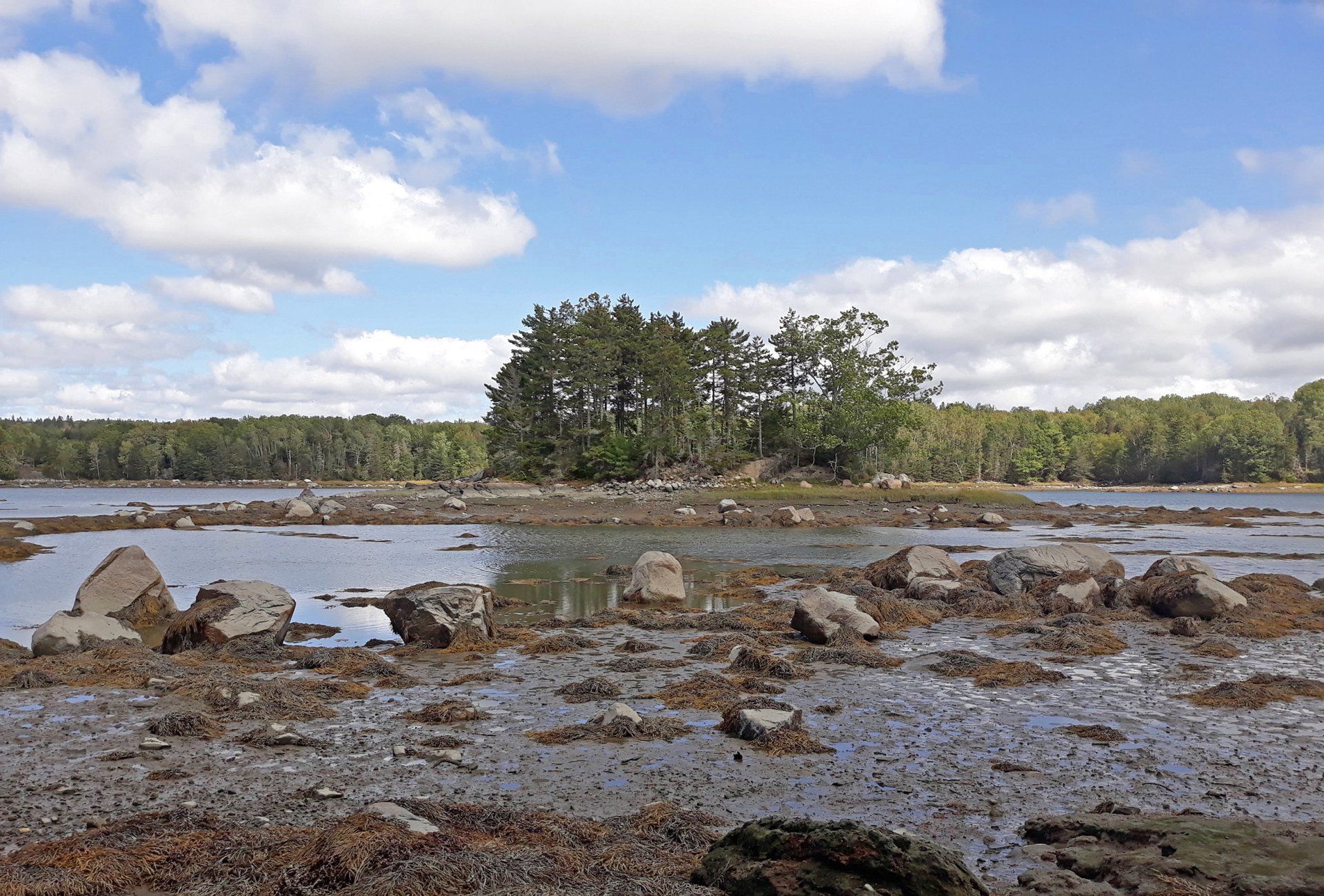 View of Nab Island at Snow Natural Area